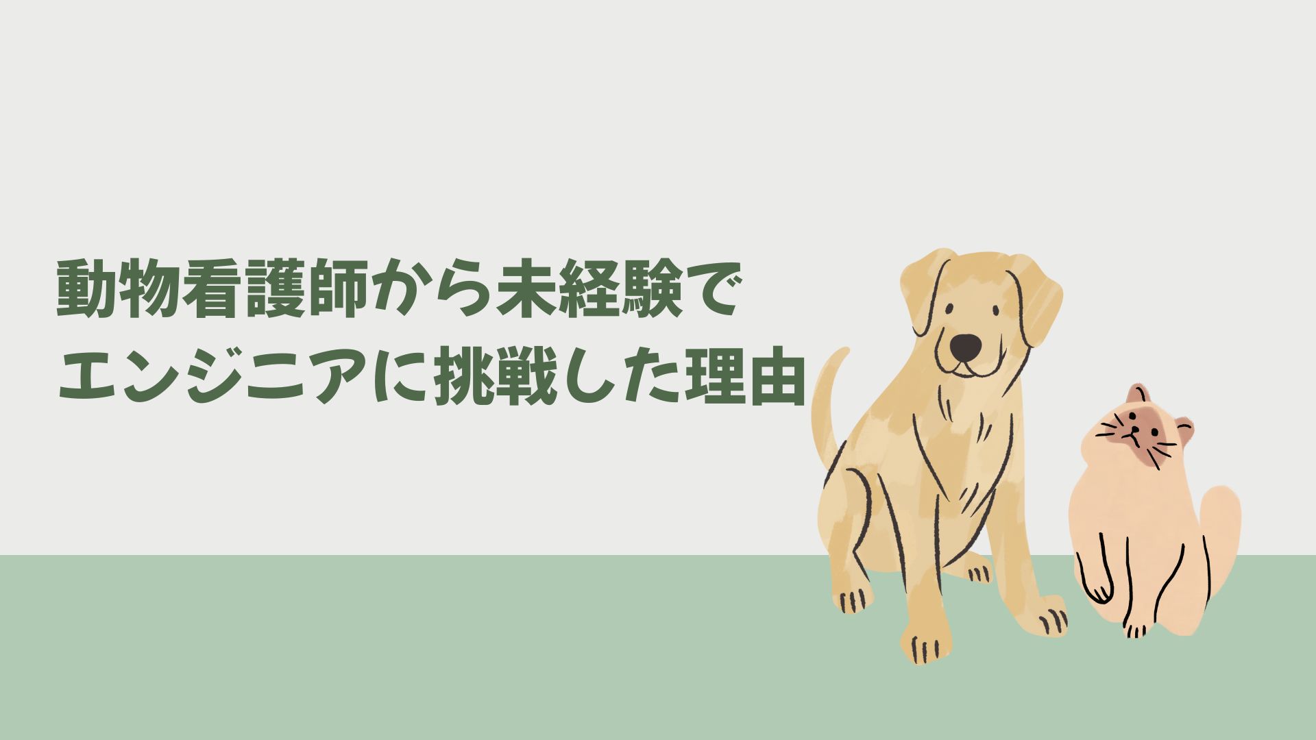 動物看護師から未経験でエンジニアに挑戦した理由